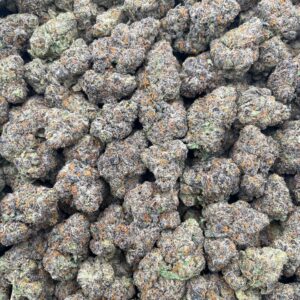 #PE31B 🍭 Blueberry Daquiri 🫐