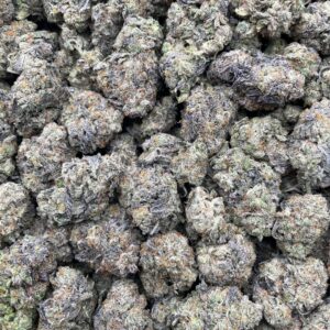 #PF12A 🍨 Gelato Z 🍧