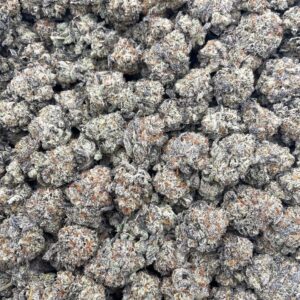 #PF33A 🧆 Gassius Trufflez ⛽️