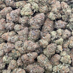 #PF36A 👨‍🌾 Lottery Ticket Bubba 🎫