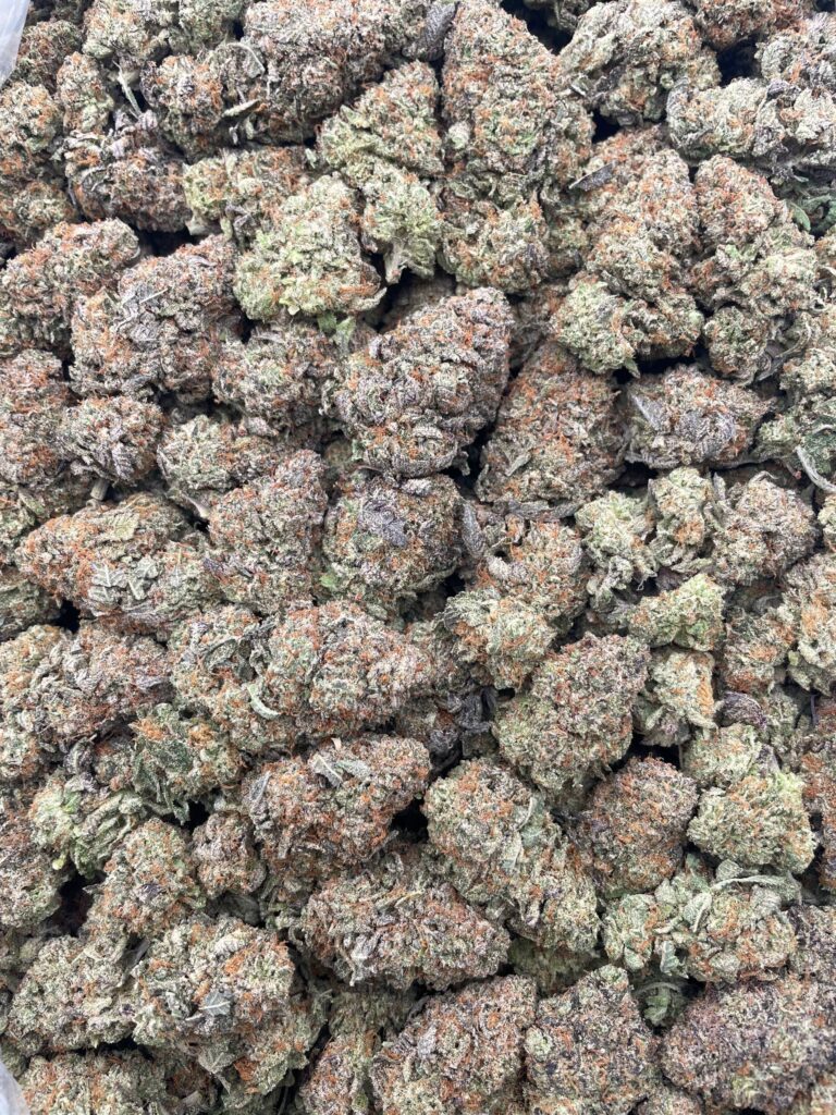 #PF36A 👨‍🌾 Lottery Ticket Bubba 🎫