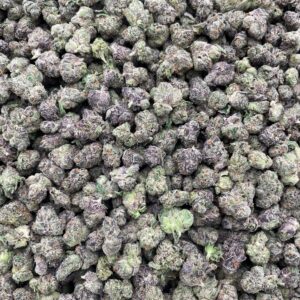 #PL9A 💥 Bubblegum Burst Medium 🫧