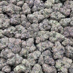 #PR45T 🍬 Sour Squirt Gupperz 💦