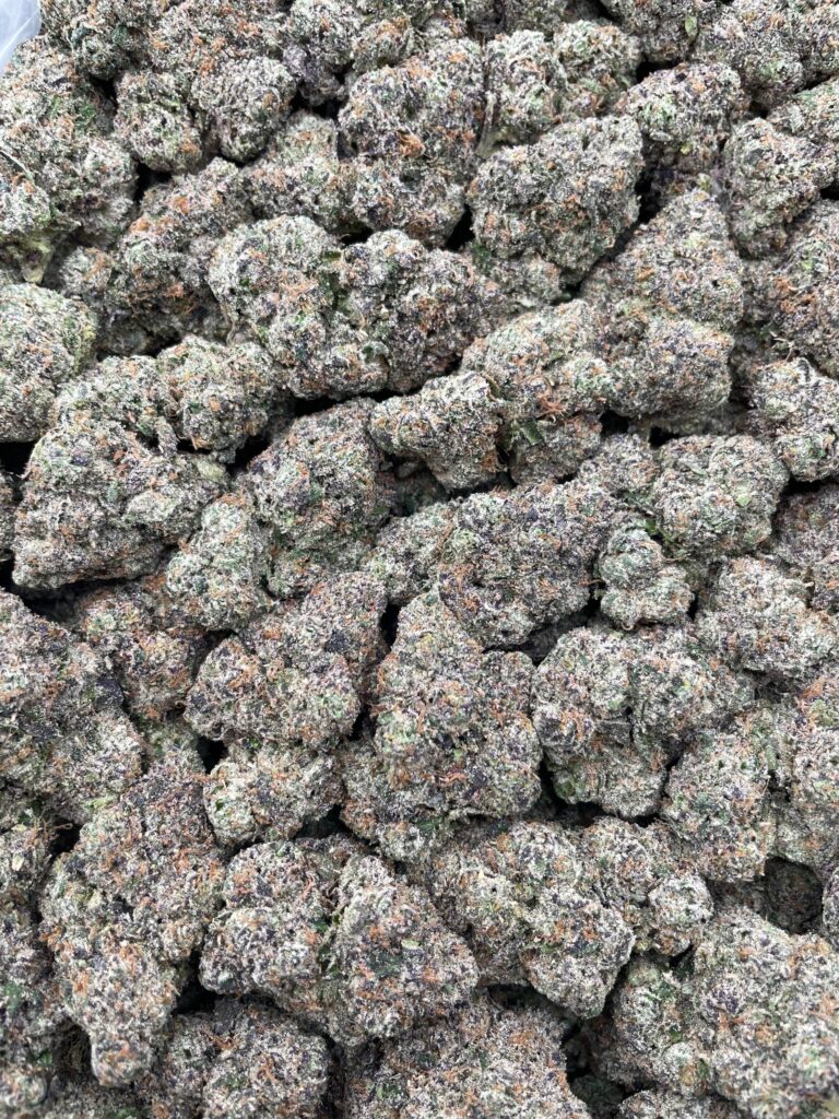 #PR92Y 🍬 Bazooka Rattlerz 🚀