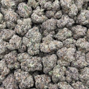 #PR95Y 🍬 Sour Candy Nitro ⛽️