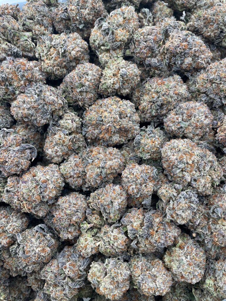 #PE21C 🍪 Star Crunch Cookies ⭐️