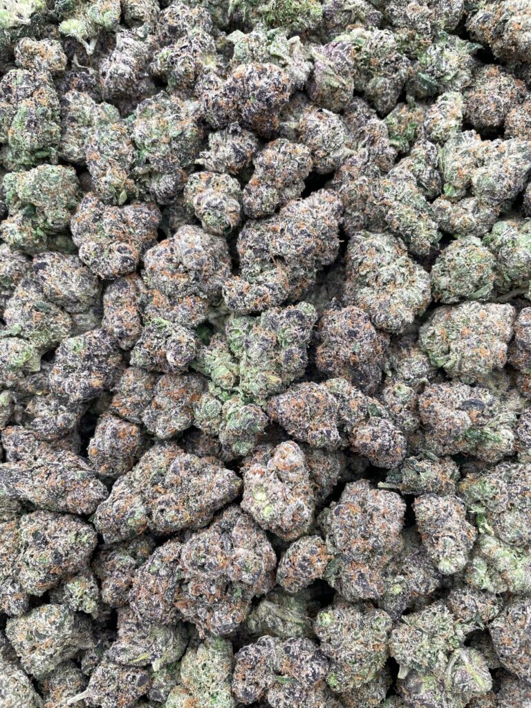 #PF36C 🍬 Candy Kush 💨