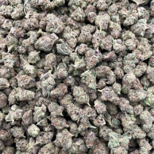 #PF38B ⛽️ Zookies Smalls 🍨