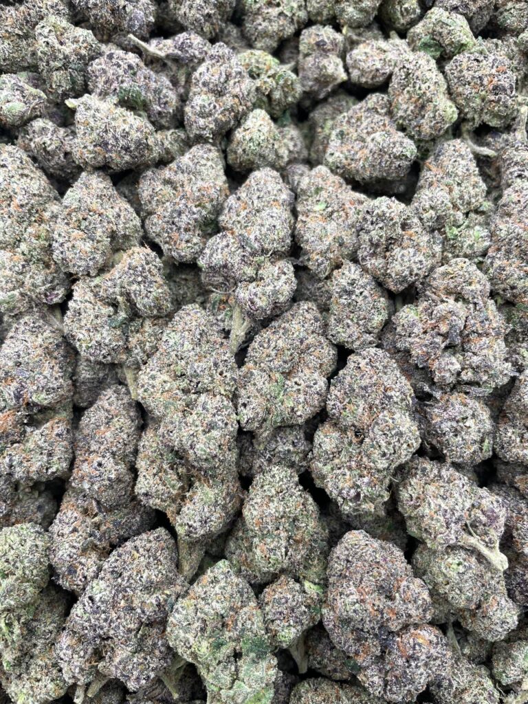 #PG15C ⛽️ Cherry Fuelato 🍒