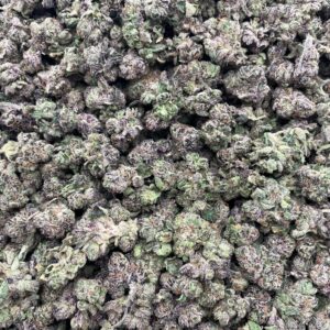 #PG20B 🍬 Sour Bursting Crawlers Smalls 💥