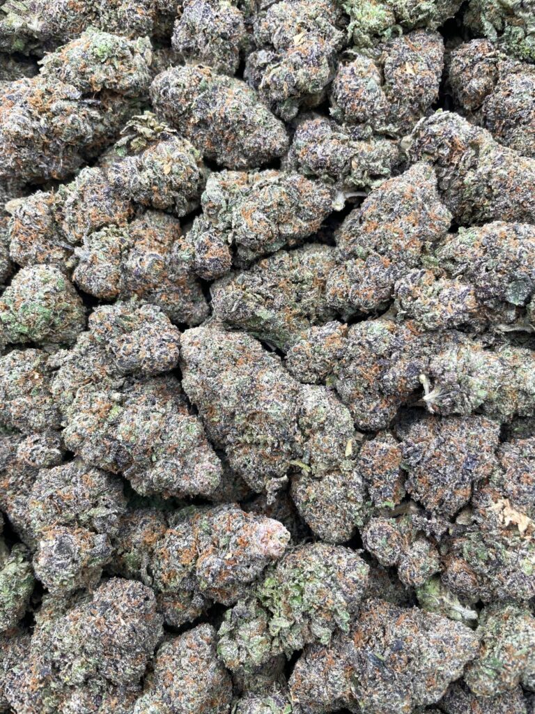 #PG29A 🍬 Cherry x Bubblegum 🍒