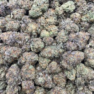 #PG36B 🤖 Gumbotronics ⛽️