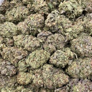 #PG3A 🫟 Sour Ooze 🍭