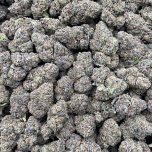 #PG4C ⛽️ Tropicana Runtz 🌴