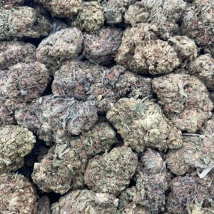 #PL11B ⛽️ Lemon Chem 🍋