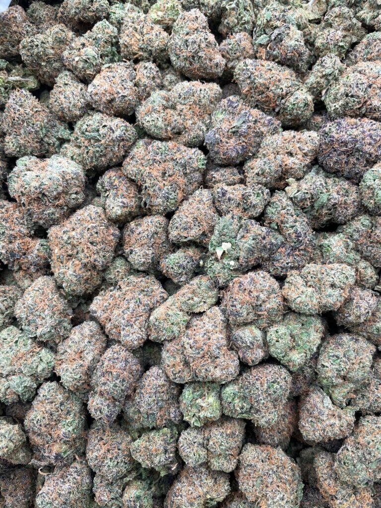#PL16B ⛽️ Chems and Cherry 🍒