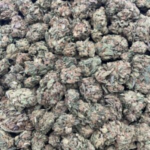 #PL27C 💨 Iran Gastropop ⛽️