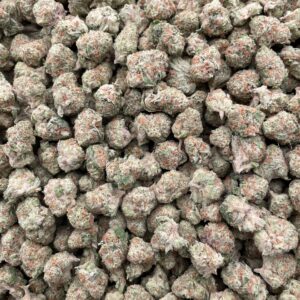 #PL36C 🍨 Papaya Punch Cream Shmediums 🍐