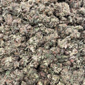 #PL9C 🍨 Runtzlato ⛽️