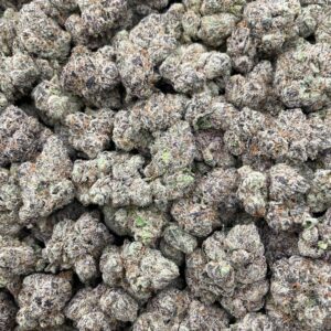 #PR43Y 🍬 Dubble Bubblegum 🍭
