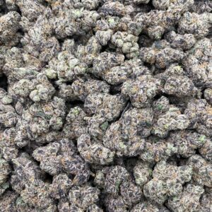 #PR67Y ⛈️ Lemon Storm 🍋