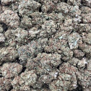 #PR81X 🍋 Lemon Grease ⛽️